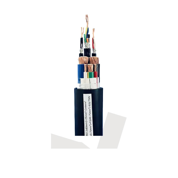 Tianjiao Enterprise Standard Charging Cable